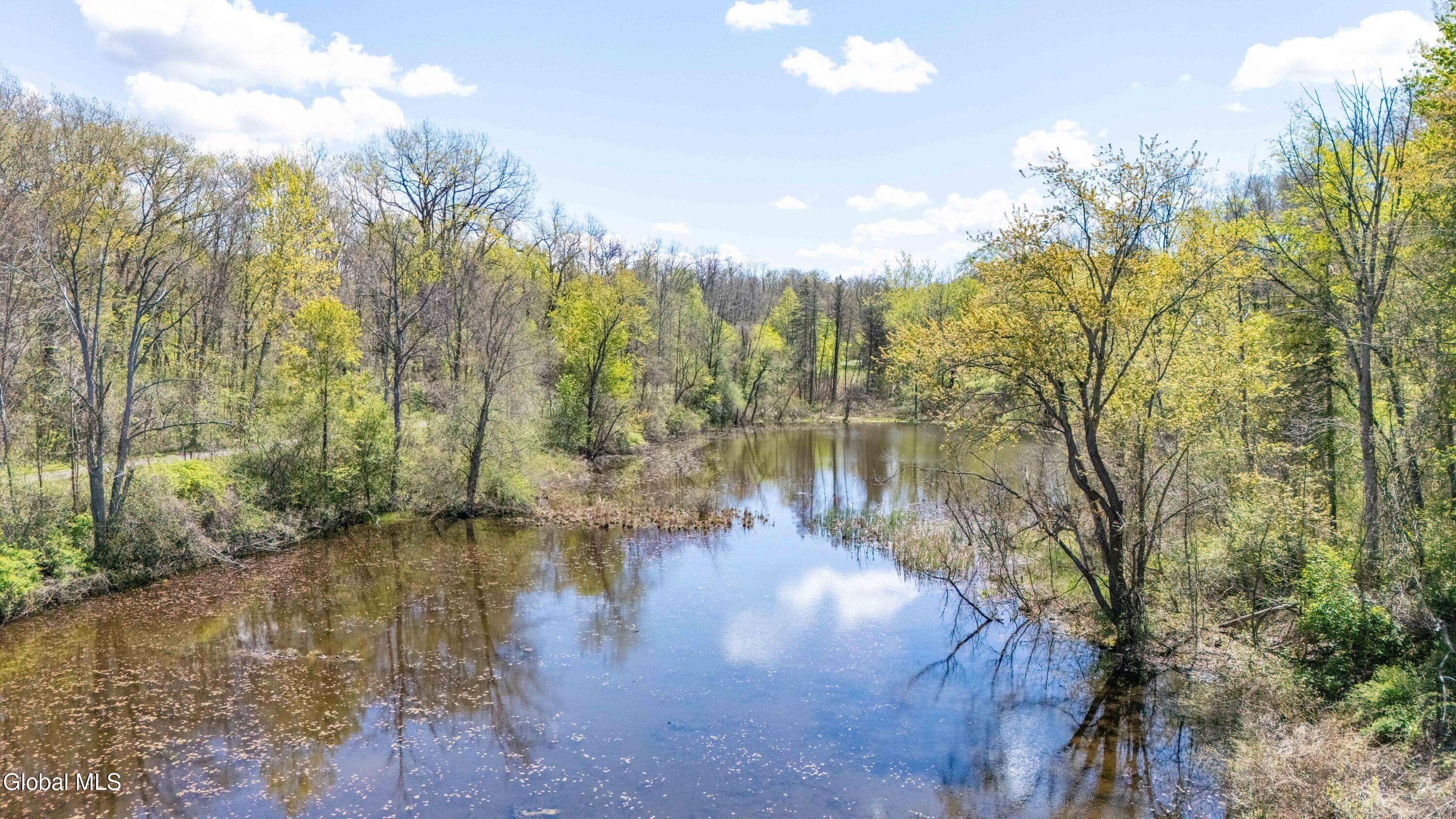 180 State Highway 5s Pattersonville NY 12137