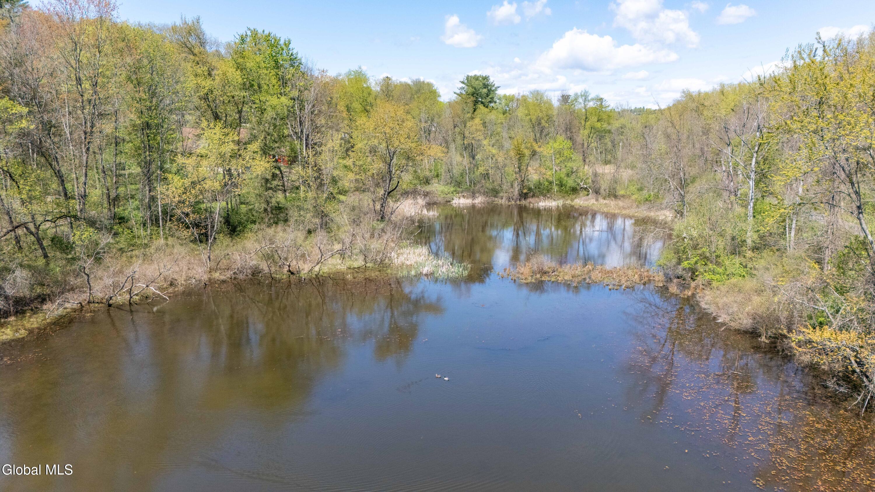 180 State Highway 5s Pattersonville NY 12137