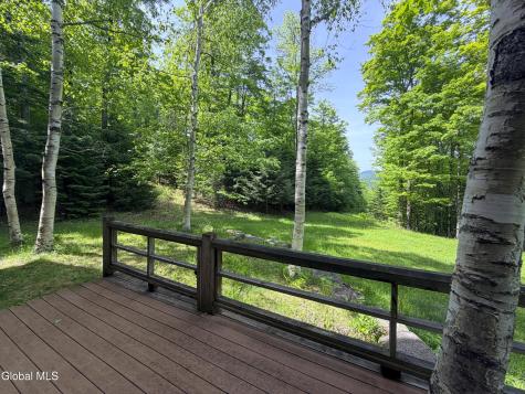54 4-h Road North River NY 12856