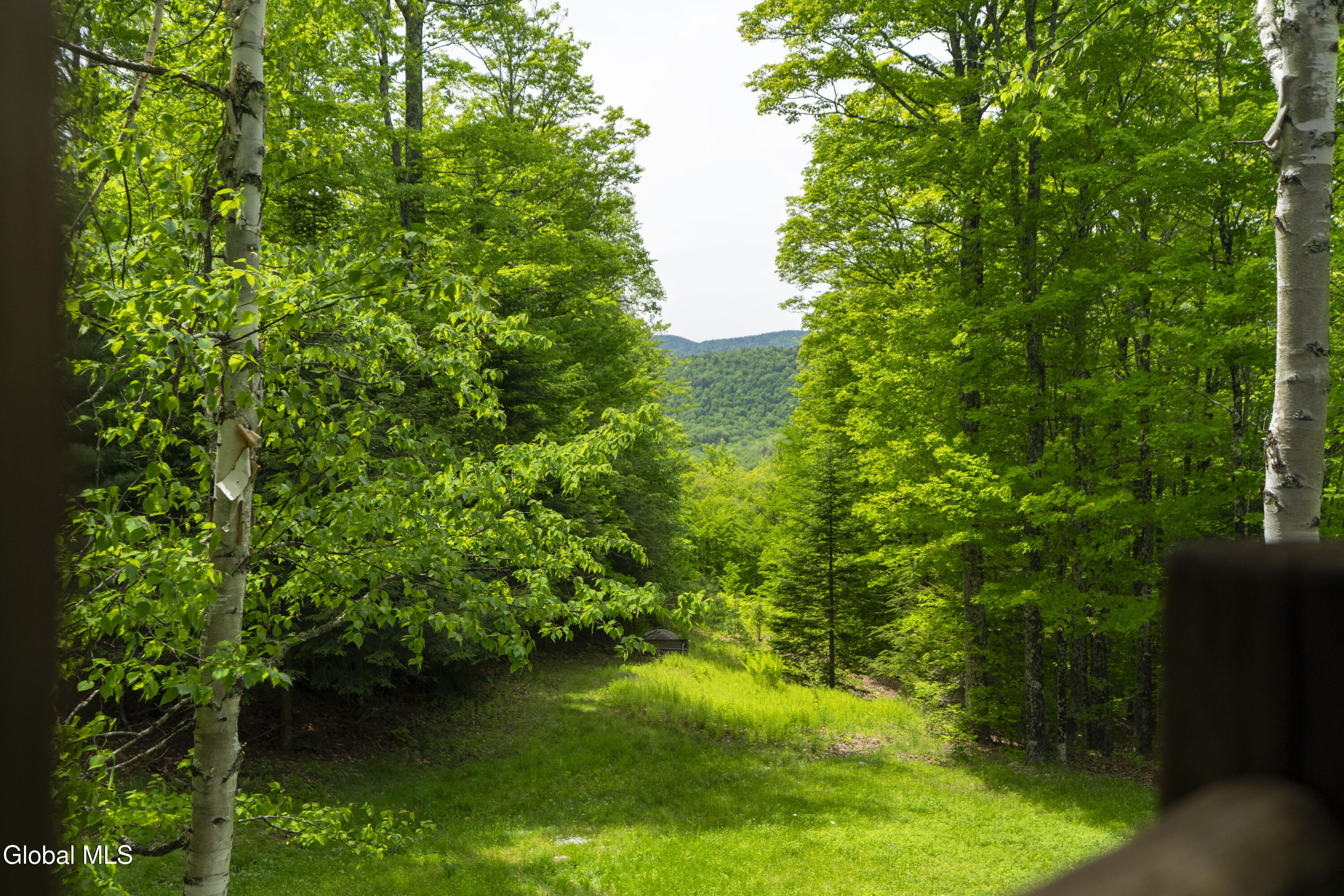 54 4-h Road North River NY 12856