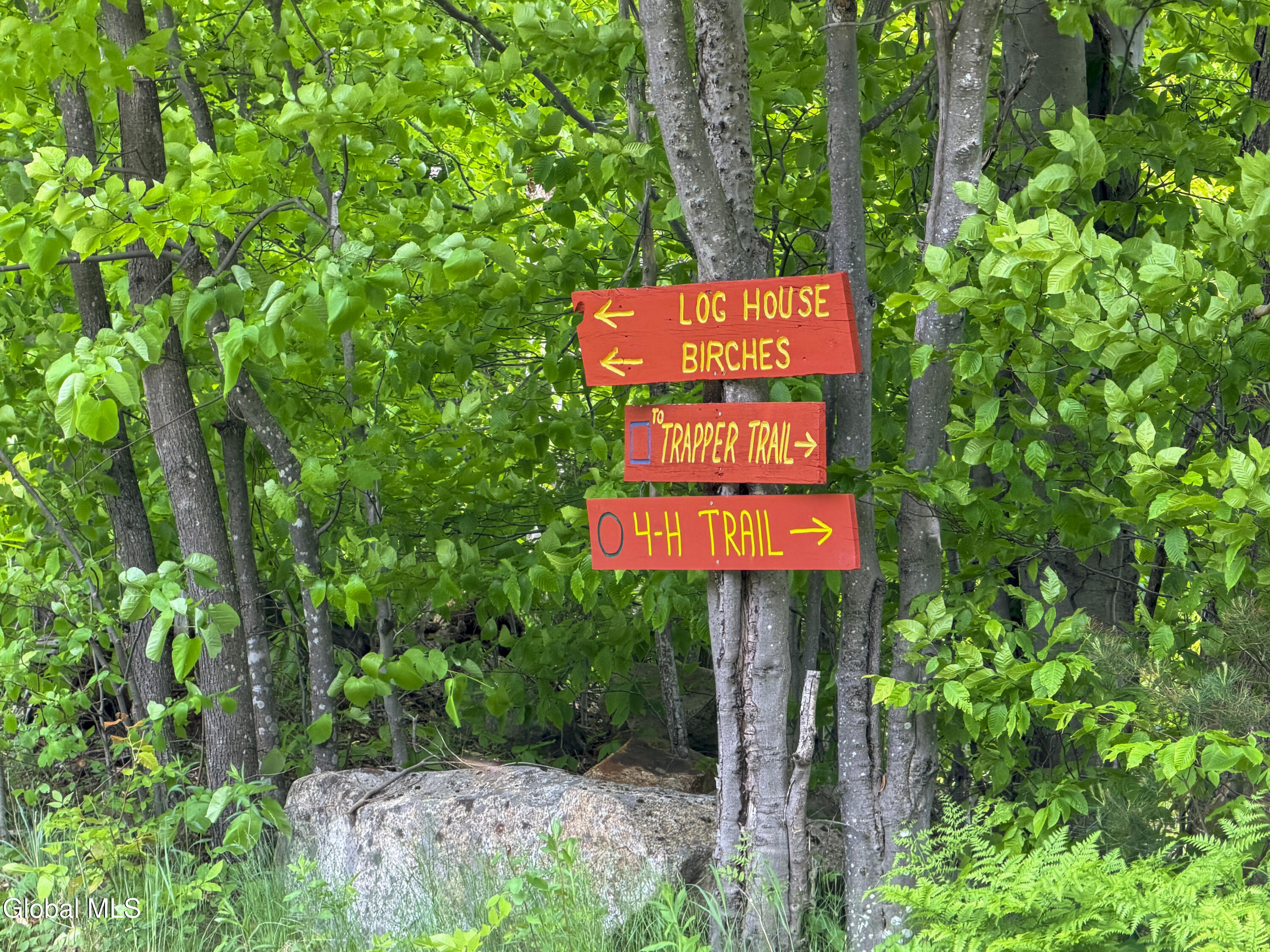 54 4-h Road North River NY 12856
