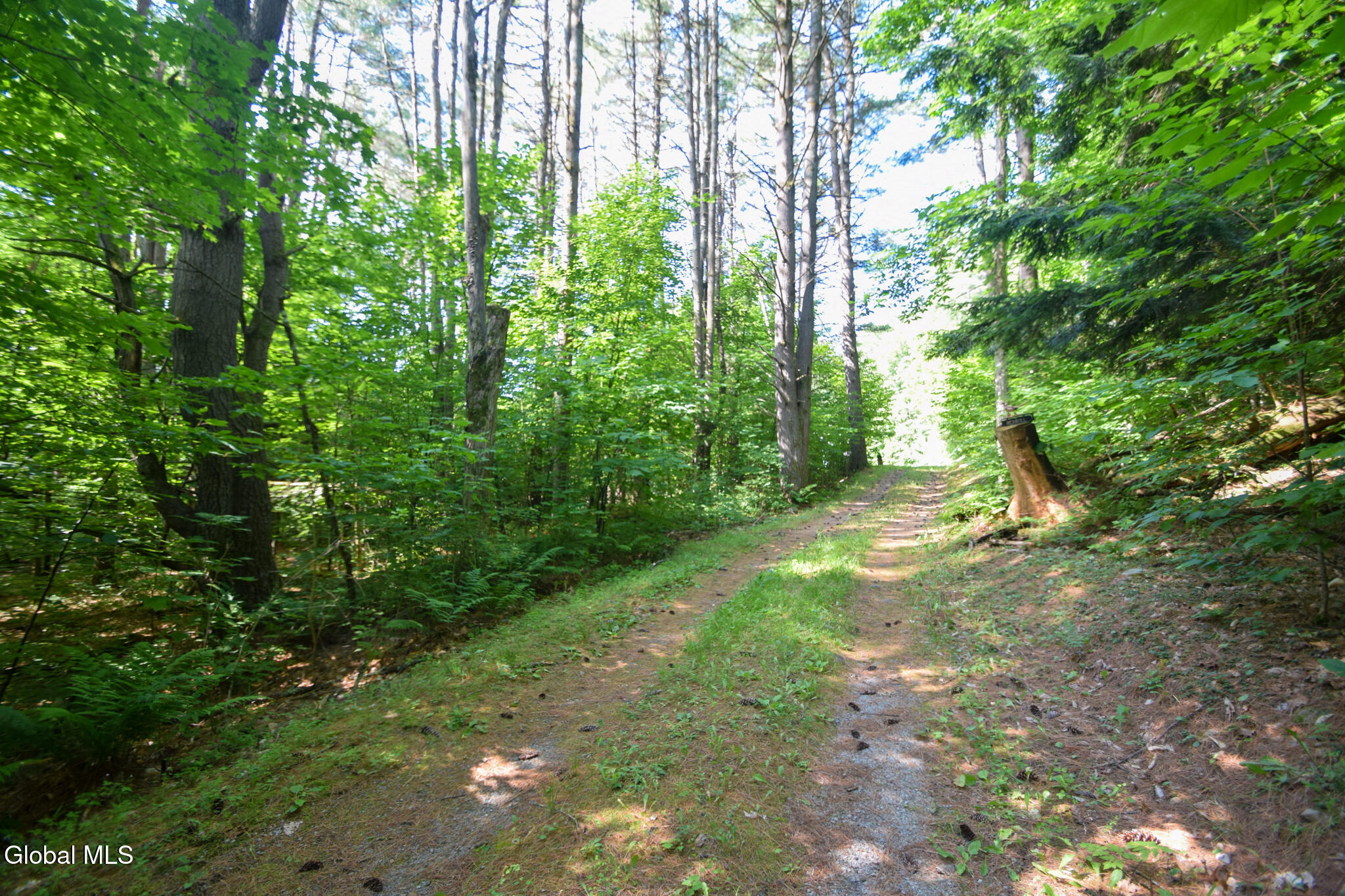 327 Wardsboro Road Ticonderoga NY 12836