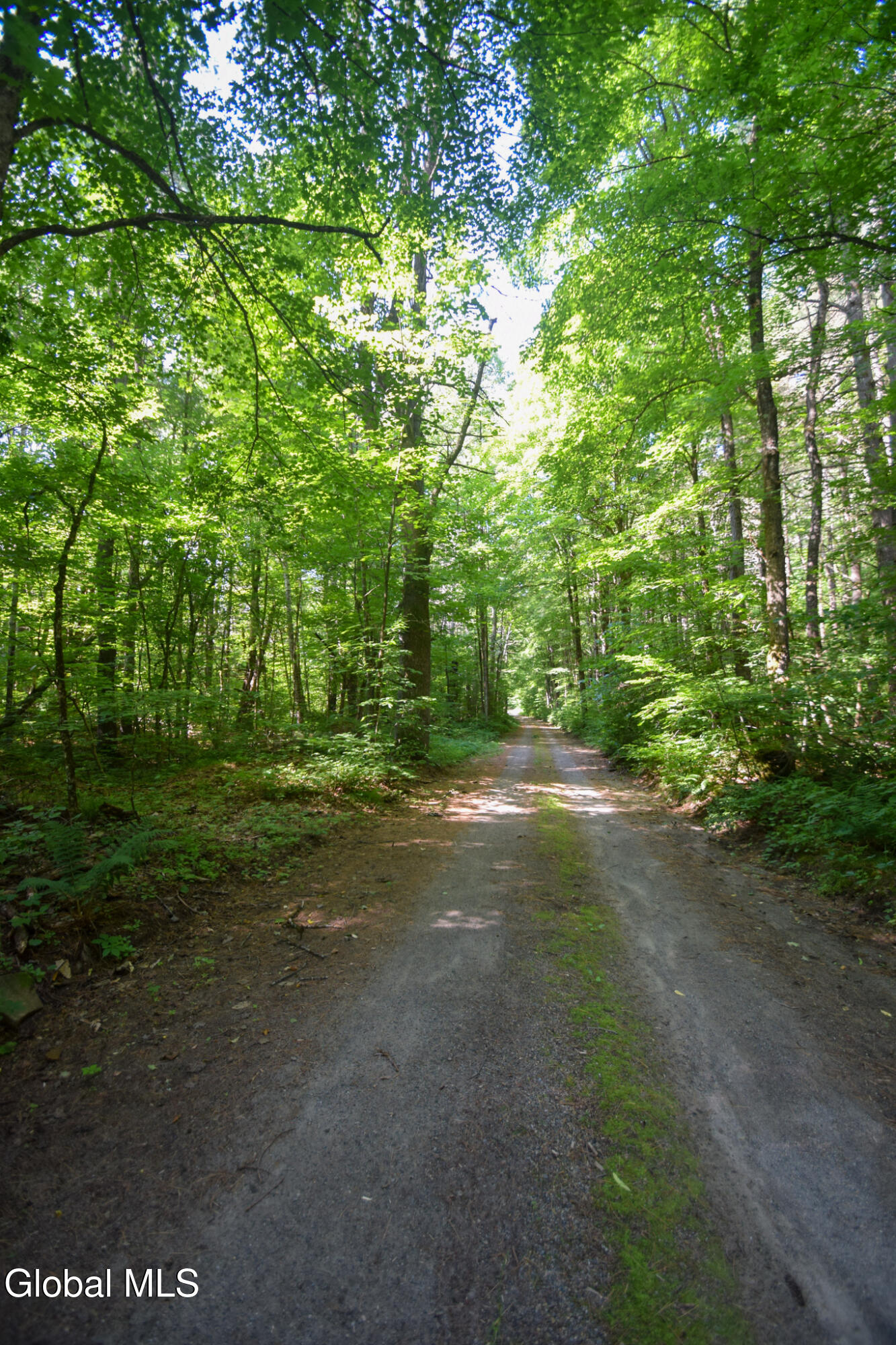 327 Wardsboro Road Ticonderoga NY 12836