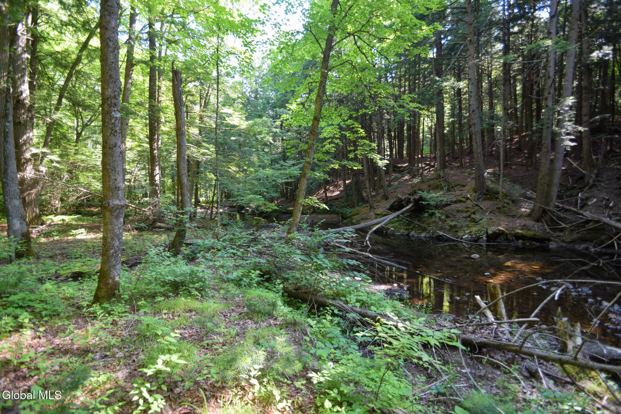 327 Wardsboro Road Ticonderoga NY 12836