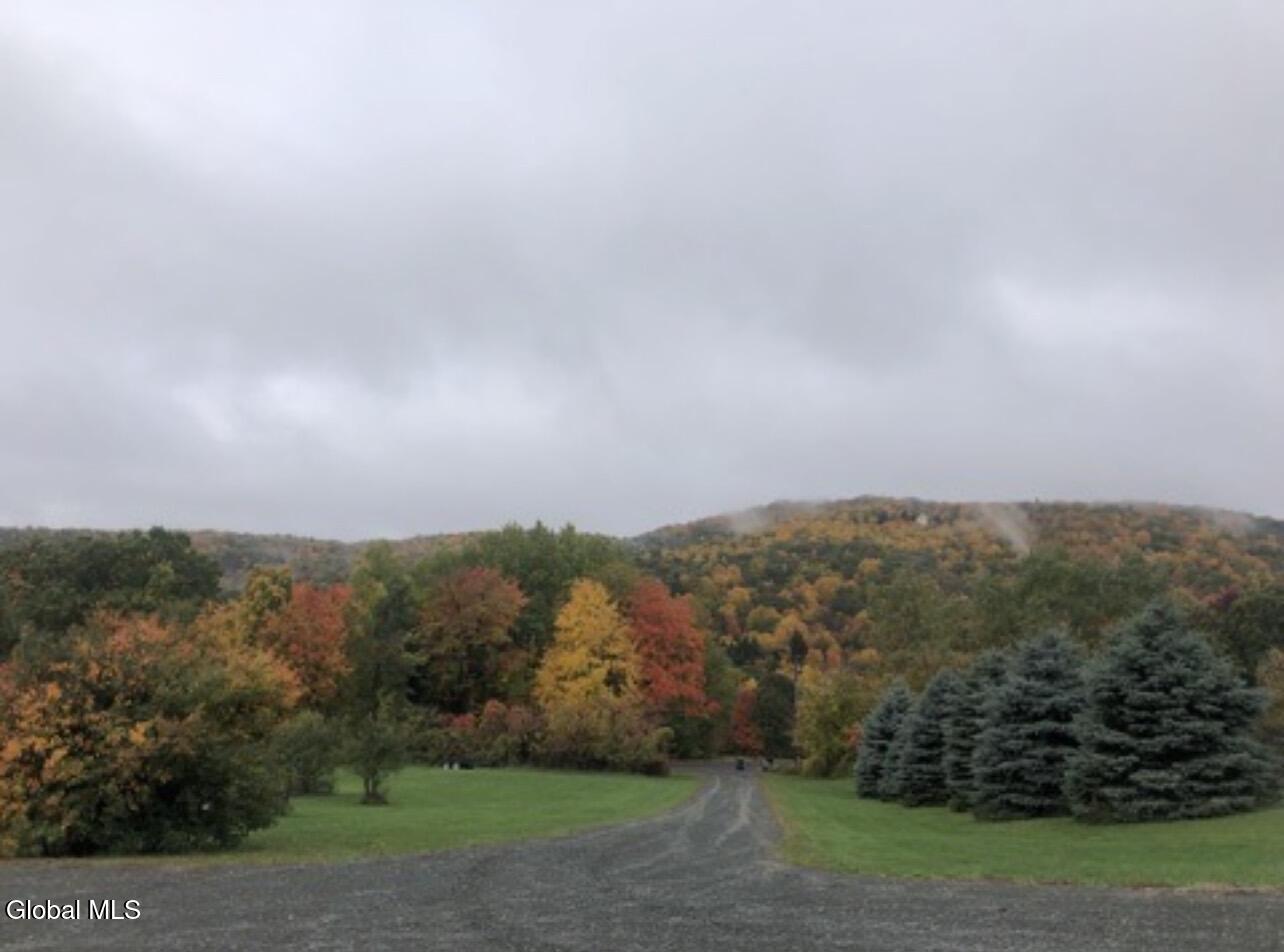 124 Mineral Springs Road Melrose NY 12121