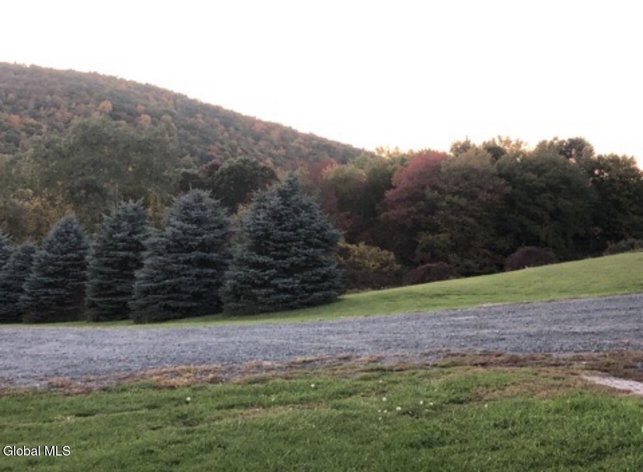 124 Mineral Springs Road Melrose NY 12121