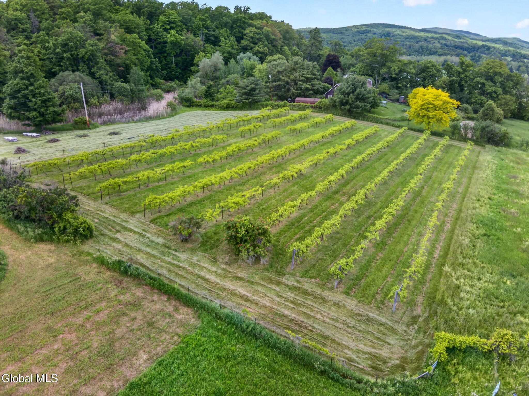 146 Biechman Road Ravena NY 12143