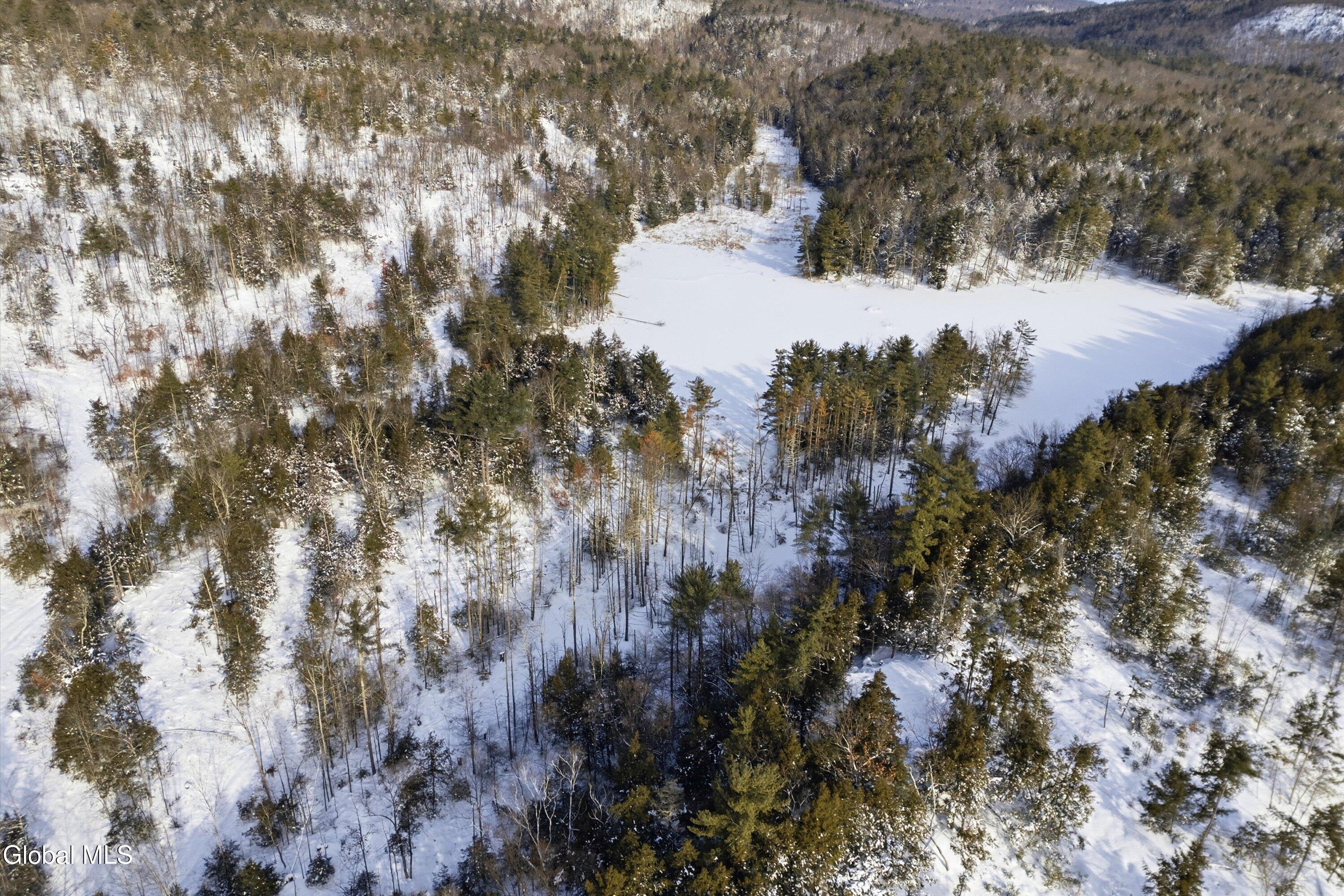 106 Kelsey Pond Lane Fort Ann NY 12827
