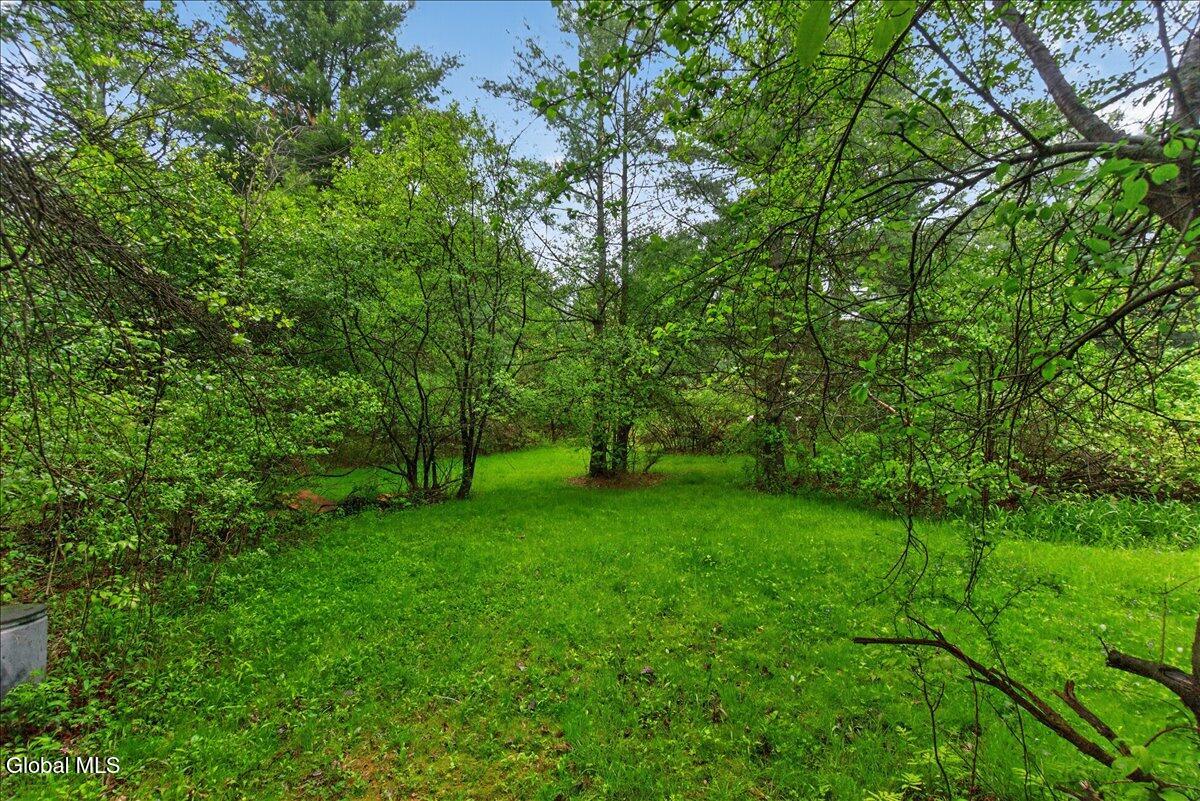 17 Onesquethaw Creek Road Feura Bush NY 12067