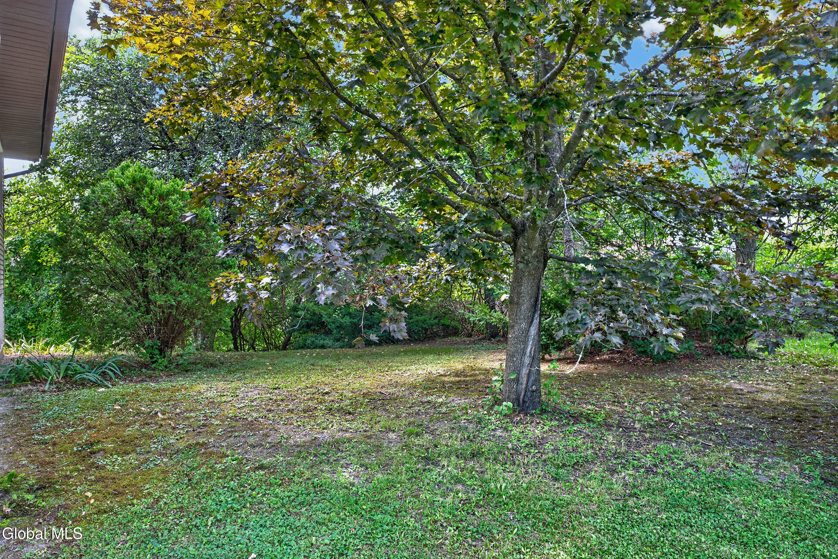 7 Silver Berry Place Albany NY 12211