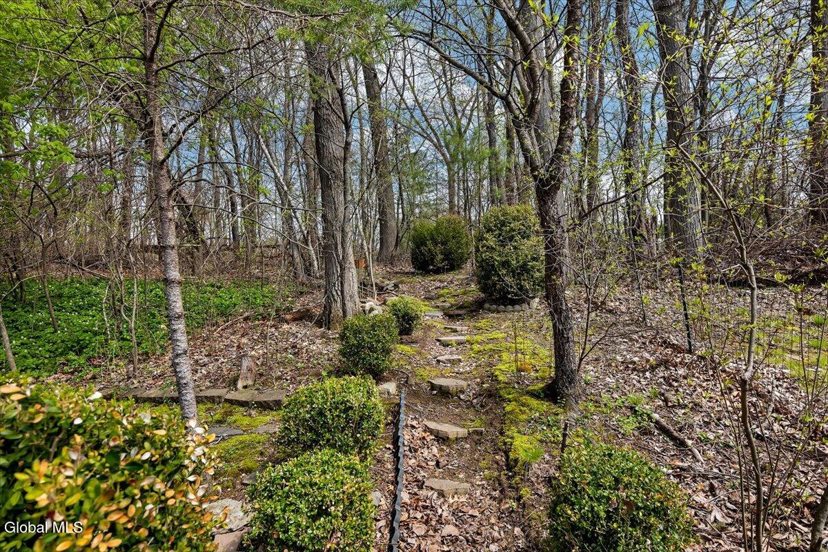 25 Grant Hill Court Clifton Park NY 12065