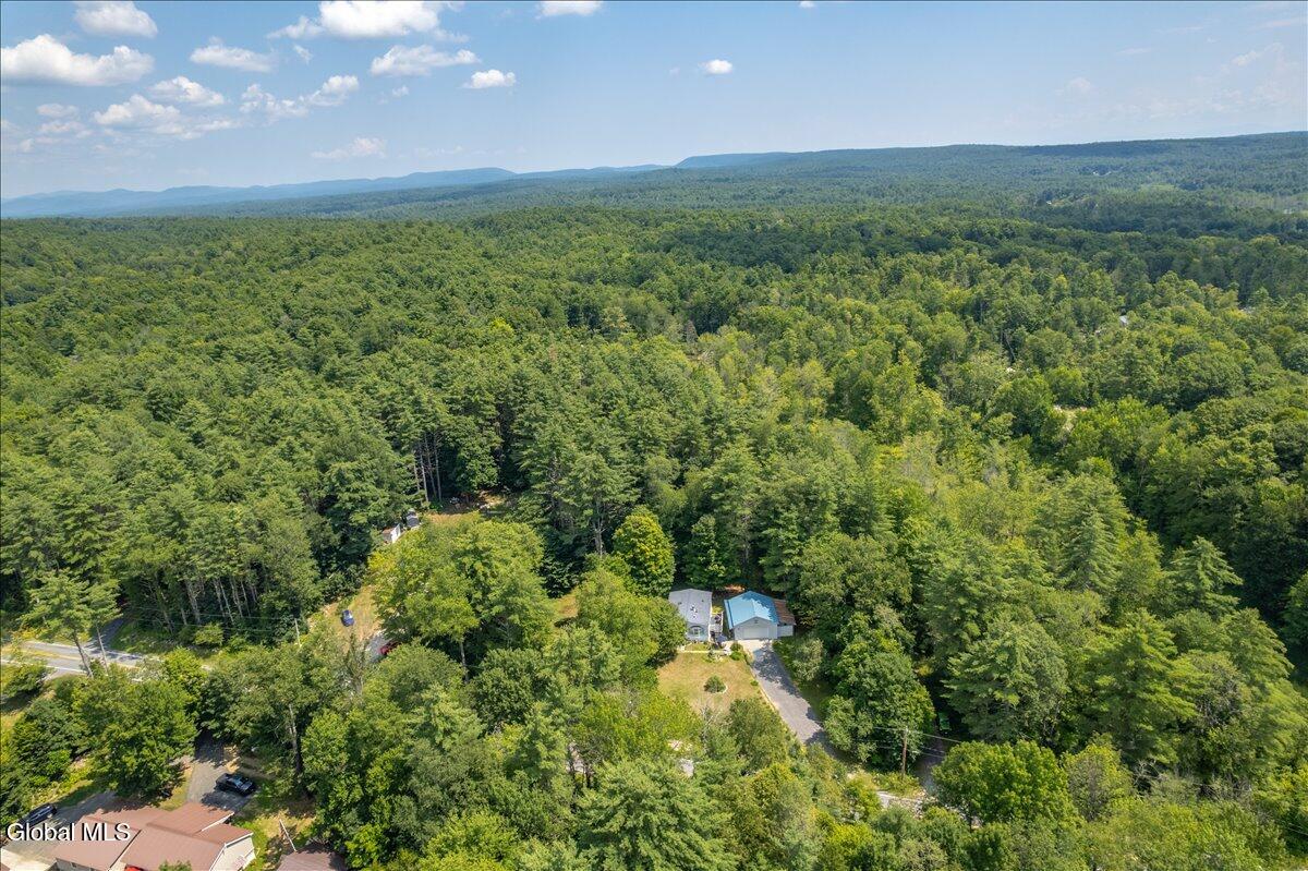83 Allen Road Porter Corners NY 12859