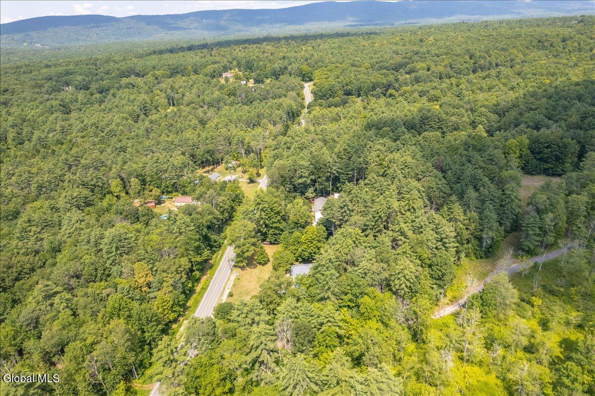 83 Allen Road Porter Corners NY 12859
