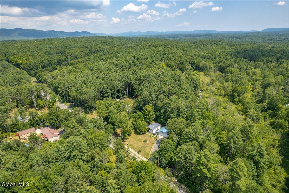 83 Allen Road Porter Corners NY 12859
