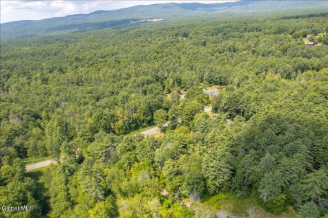 83 Allen Road Porter Corners NY 12859