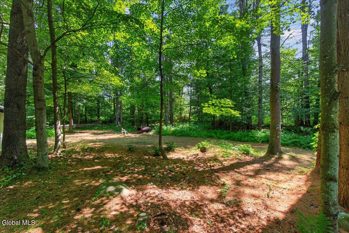 83 Allen Road Porter Corners NY 12859