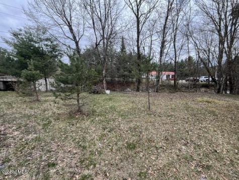 103 Sunset Circle Wells NY 12190