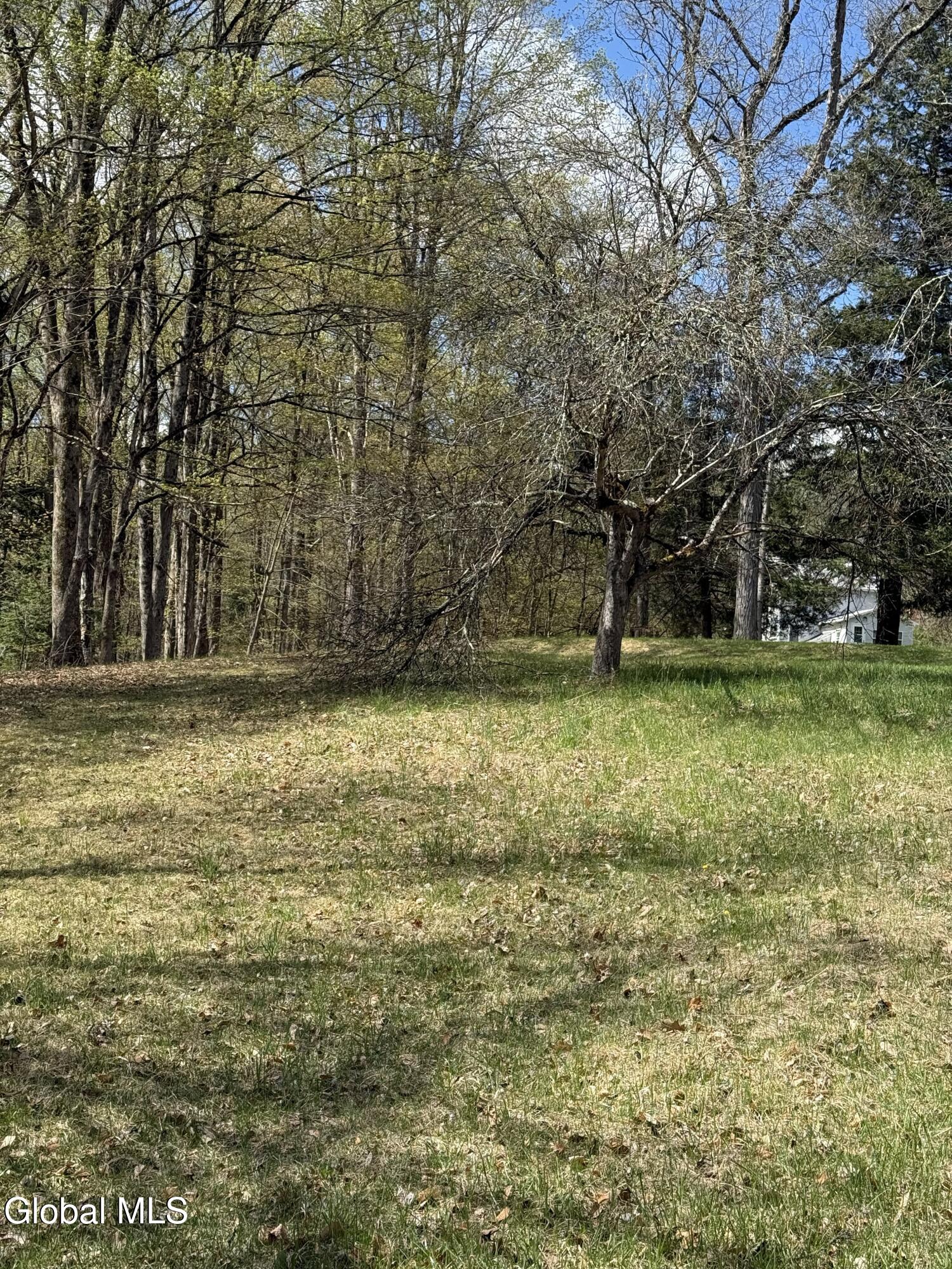 34 North Road Clemons NY 12819