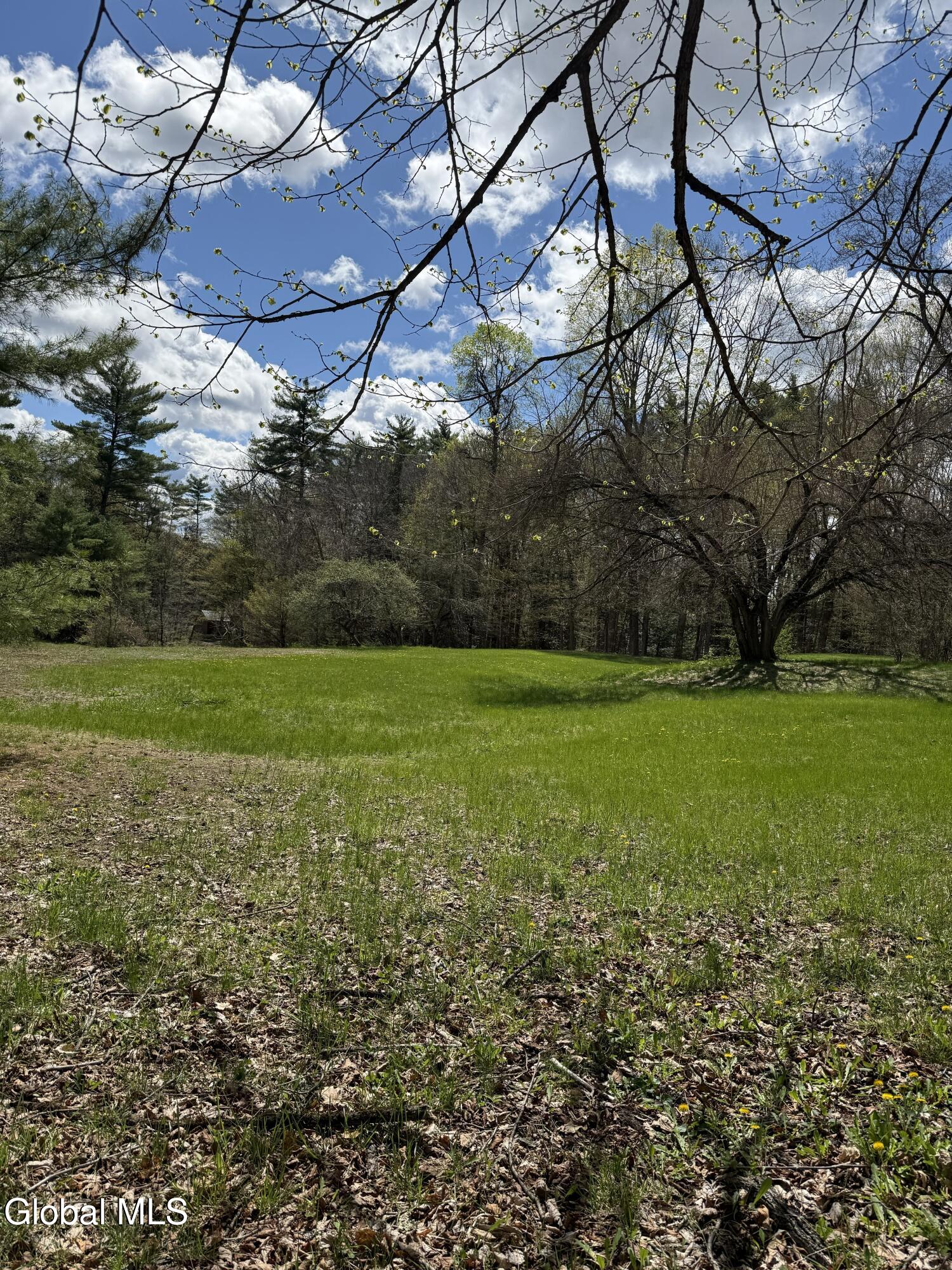 34 North Road Clemons NY 12819