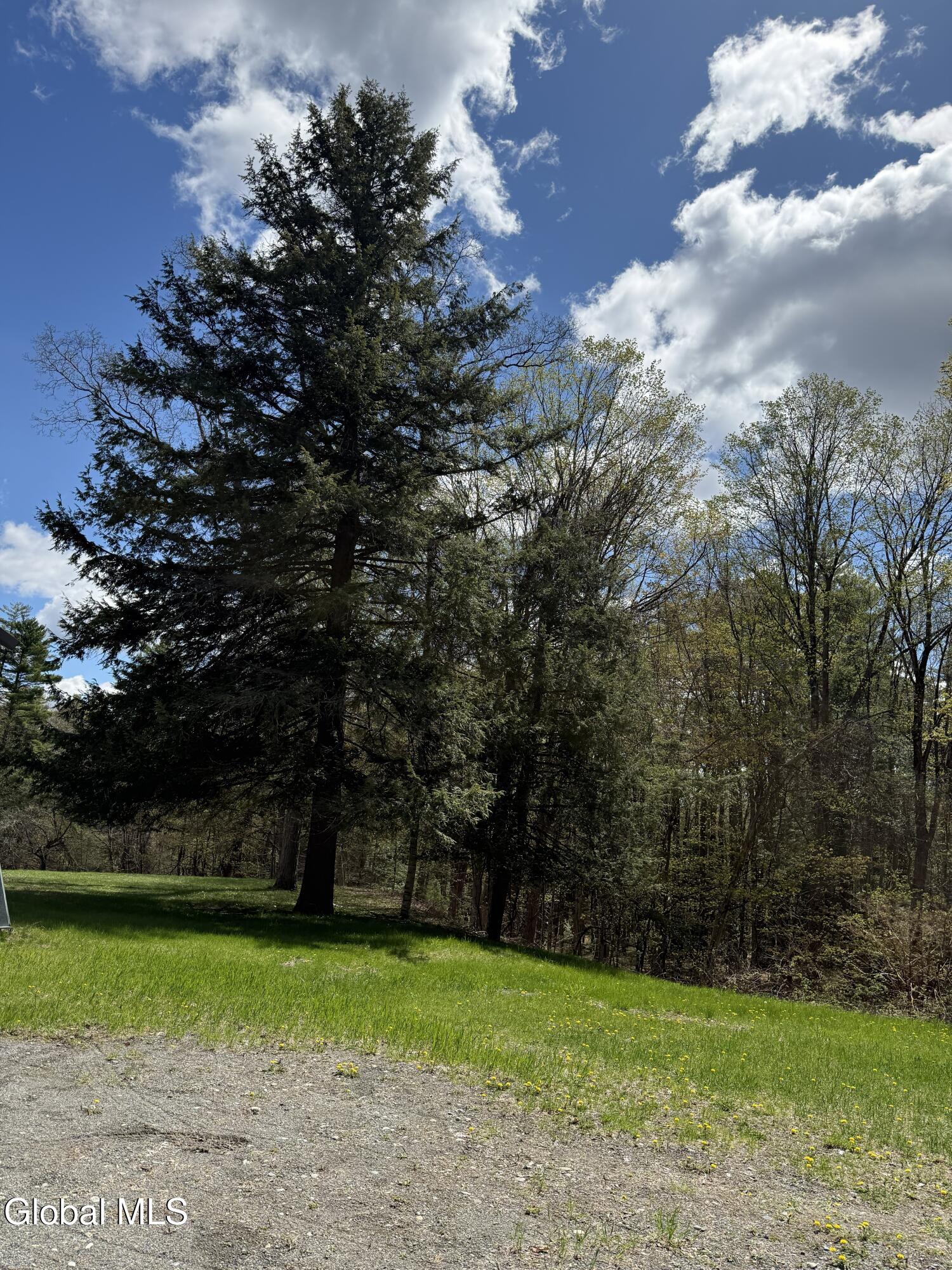 34 North Road Clemons NY 12819