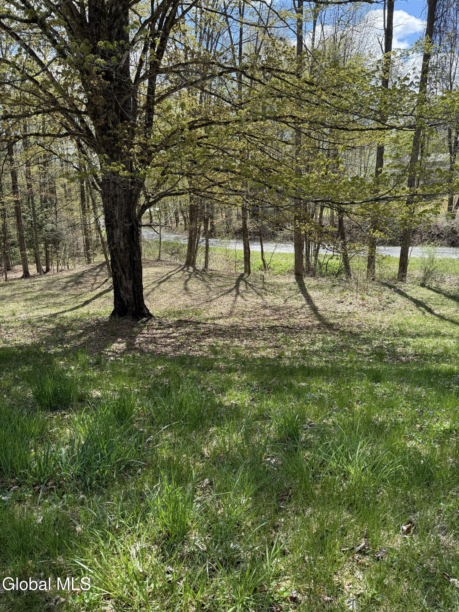 34 North Road Clemons NY 12819