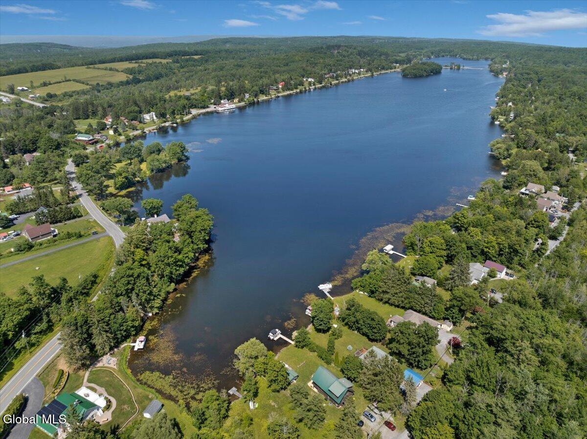 8812 Mariaville Road Pattersonville NY 12137