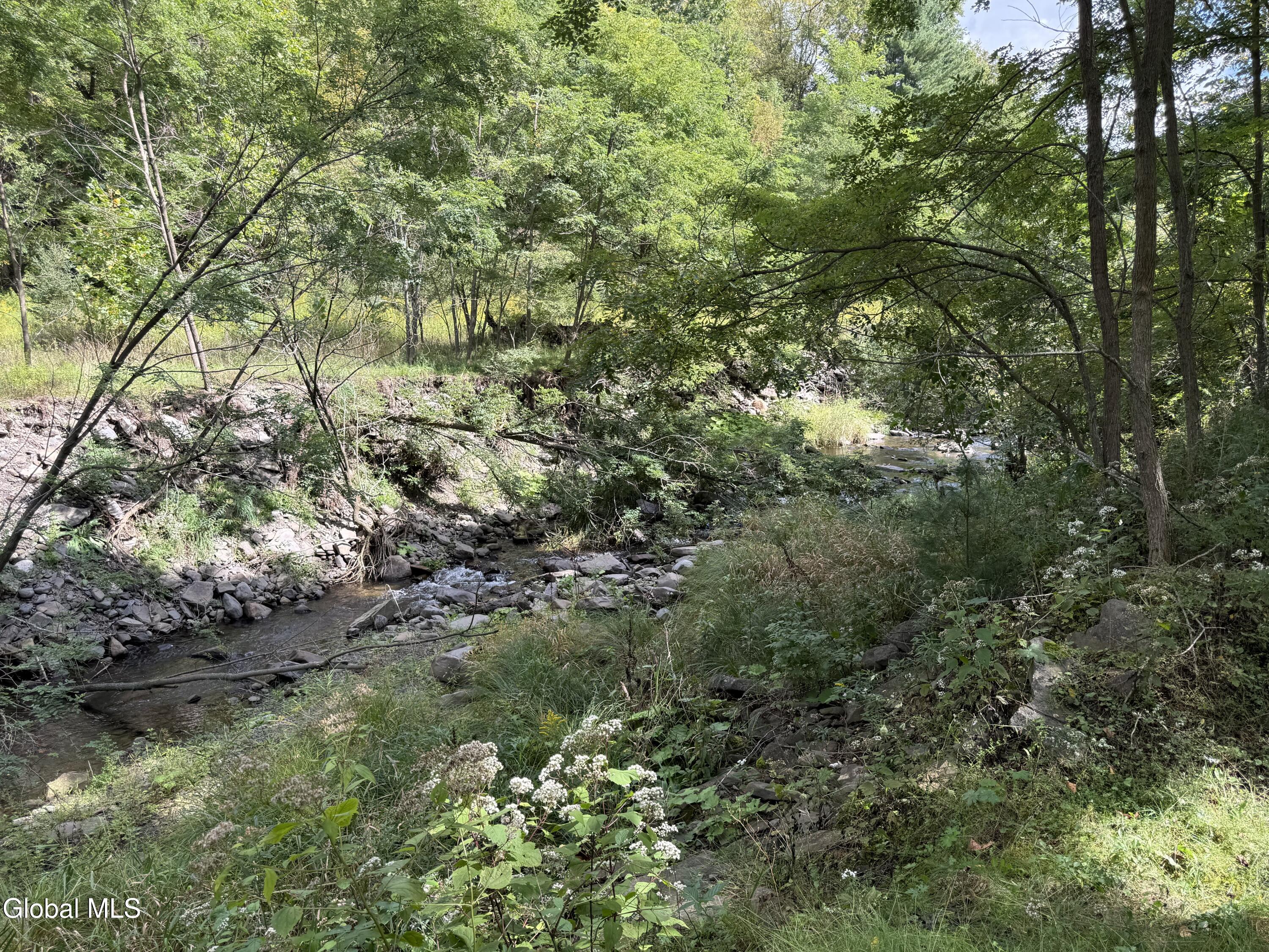 638 Gridley Road Middleburgh NY 12122