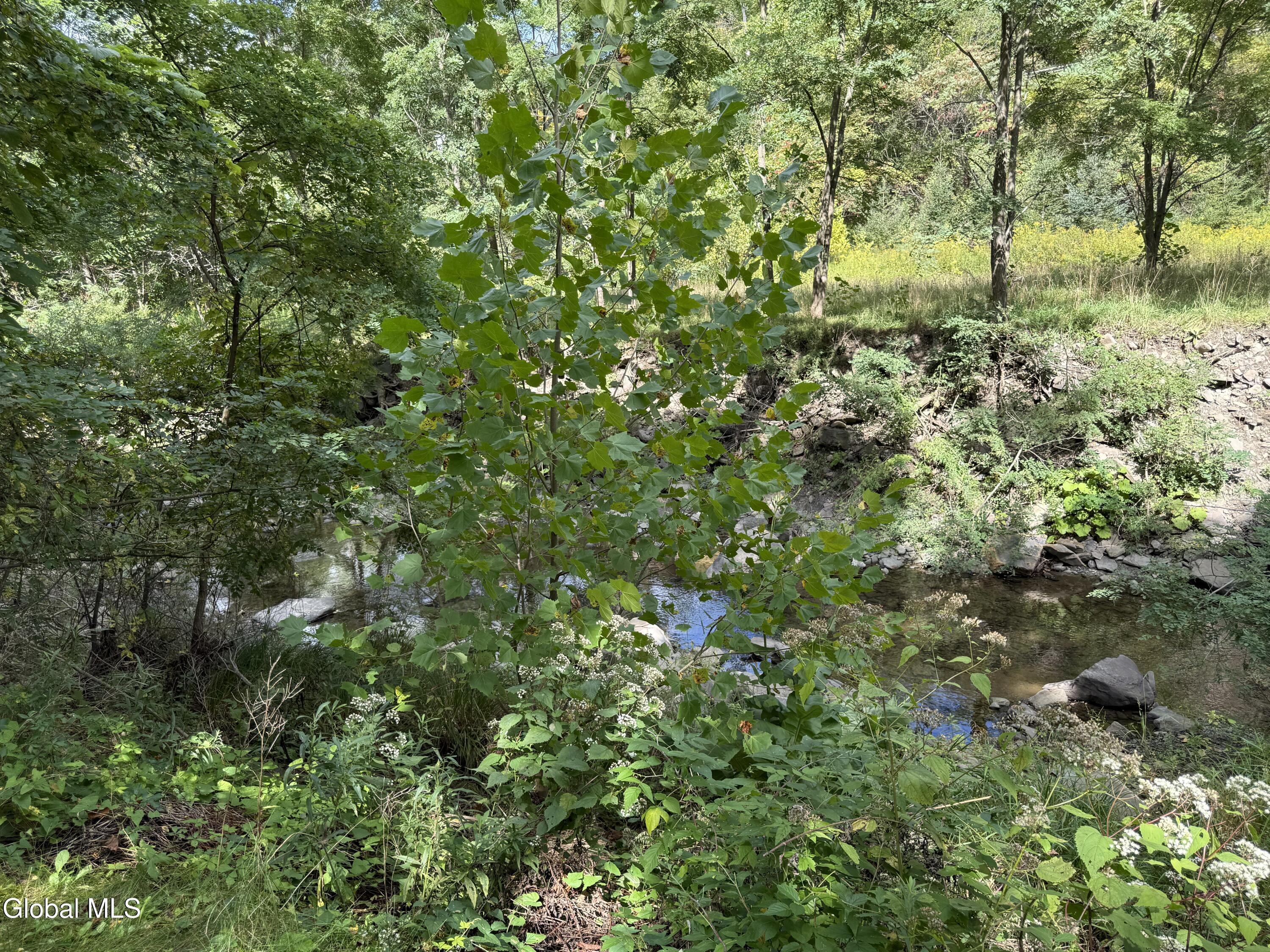 638 Gridley Road Middleburgh NY 12122