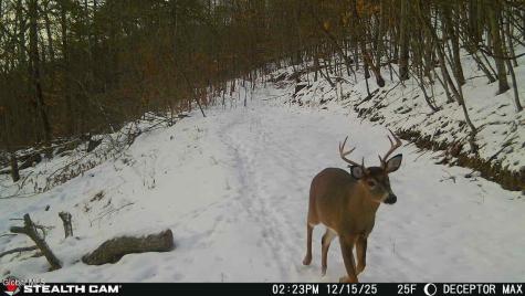 1740 Huntersland Road Middleburgh NY 12122