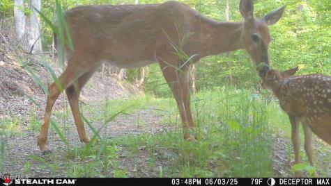 1740 Huntersland Road Middleburgh NY 12122