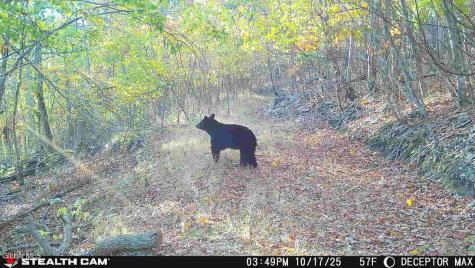 1740 Huntersland Road Middleburgh NY 12122