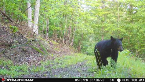 1740 Huntersland Road Middleburgh NY 12122