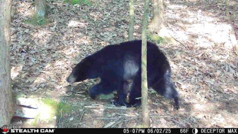 1740 Huntersland Road Middleburgh NY 12122