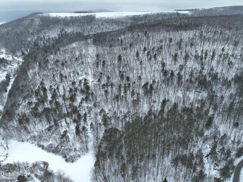 1740 Huntersland Road Middleburgh NY 12122