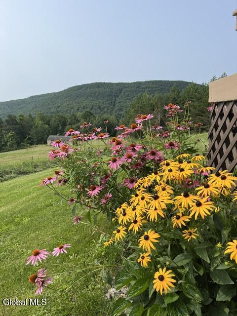 248 Indian Ledge Road Voorheesville NY 12186