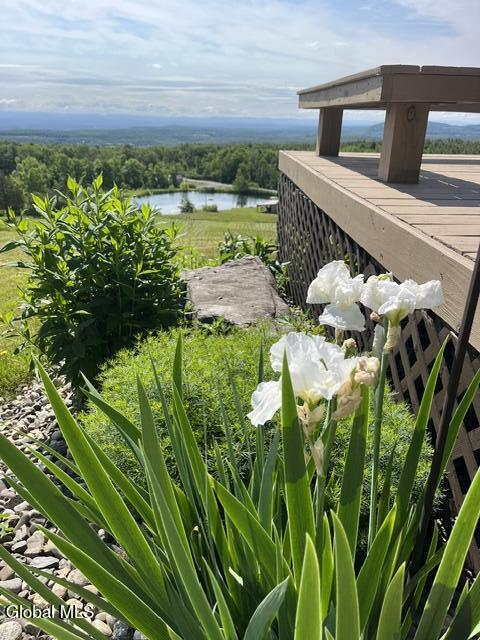 248 Indian Ledge Road Voorheesville NY 12186