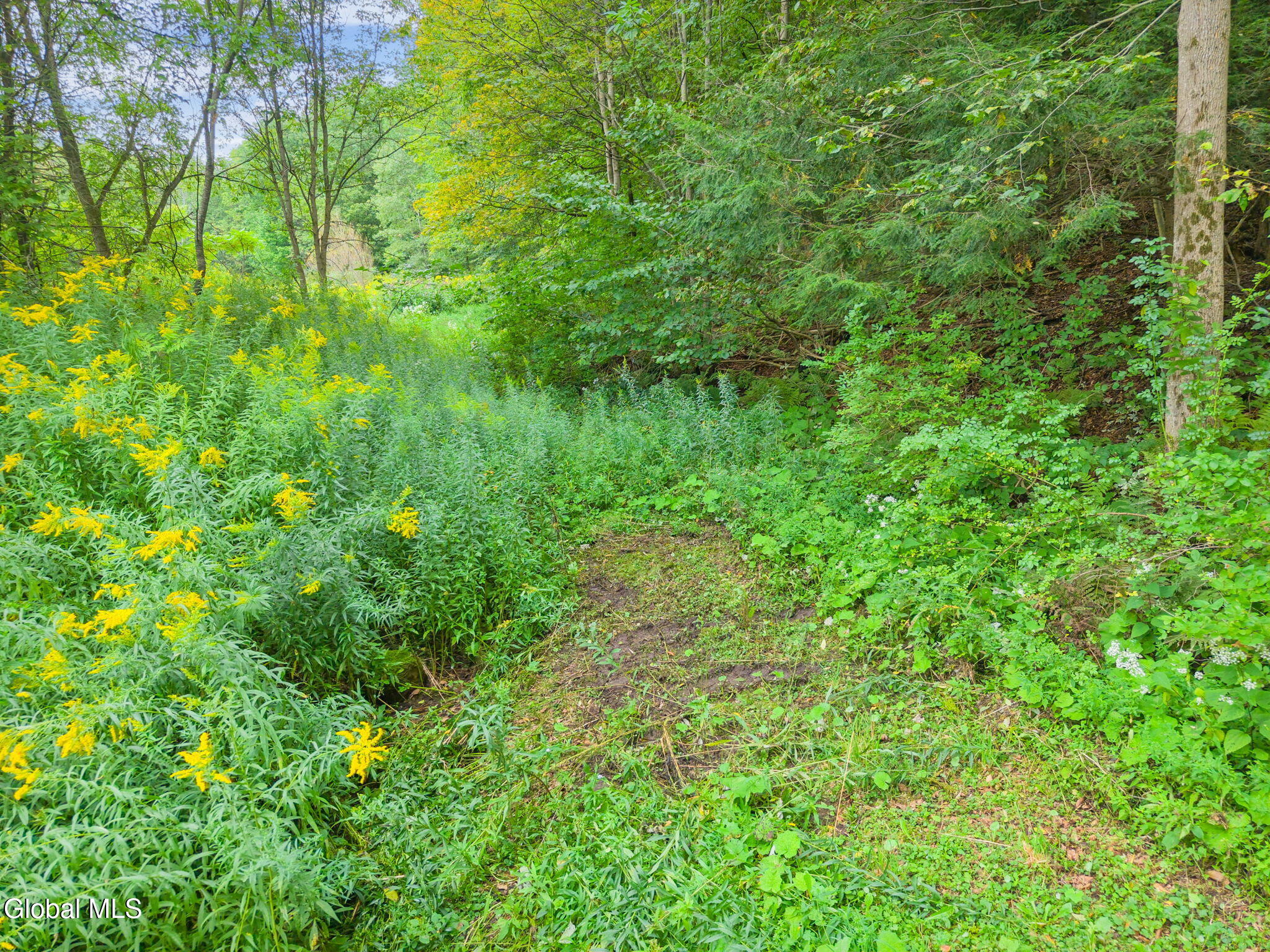 3146 New York 169 Little Falls NY 13406