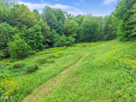 3146 New York 169 Little Falls NY 13406