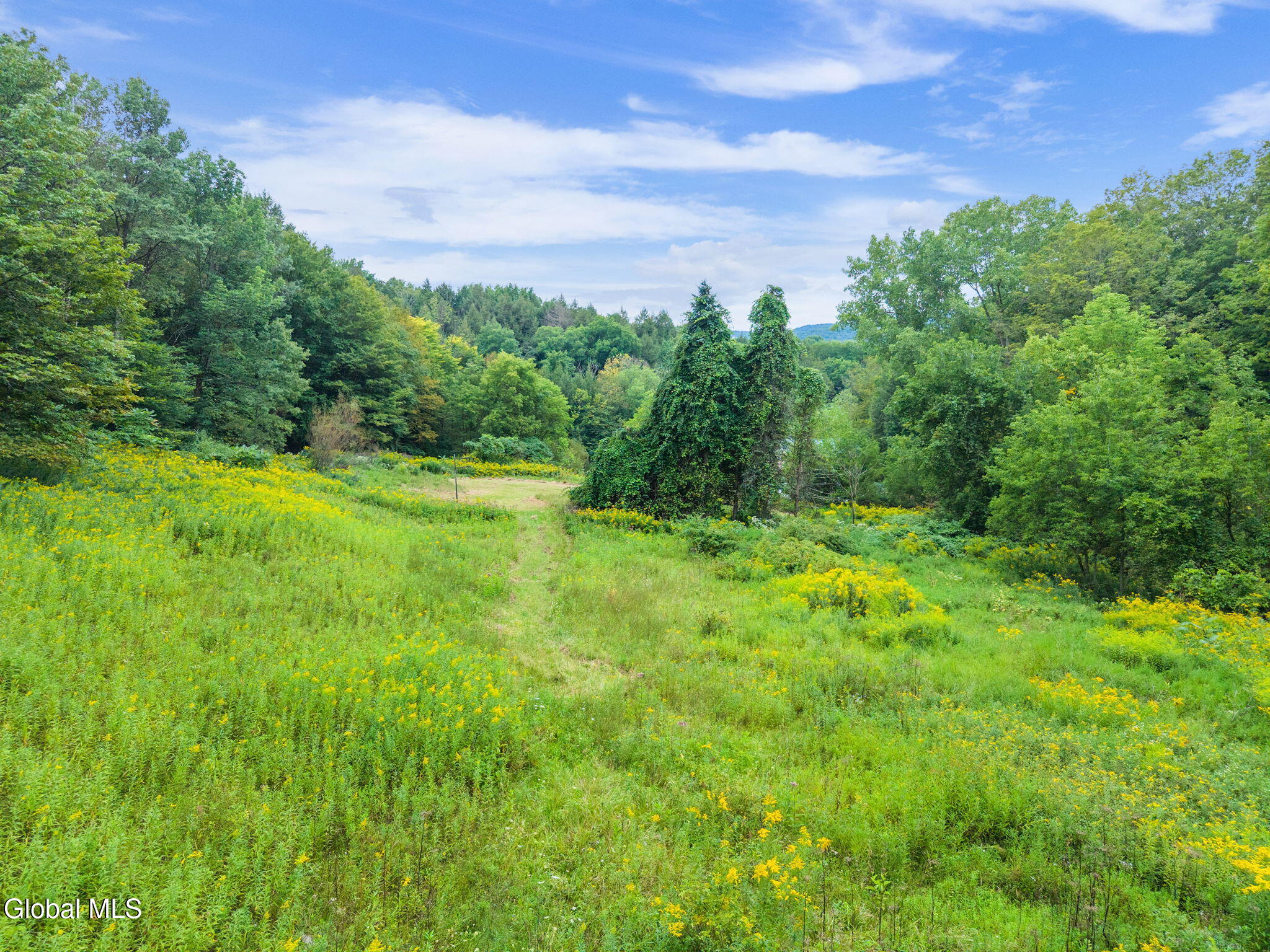 3146 New York 169 Little Falls NY 13406