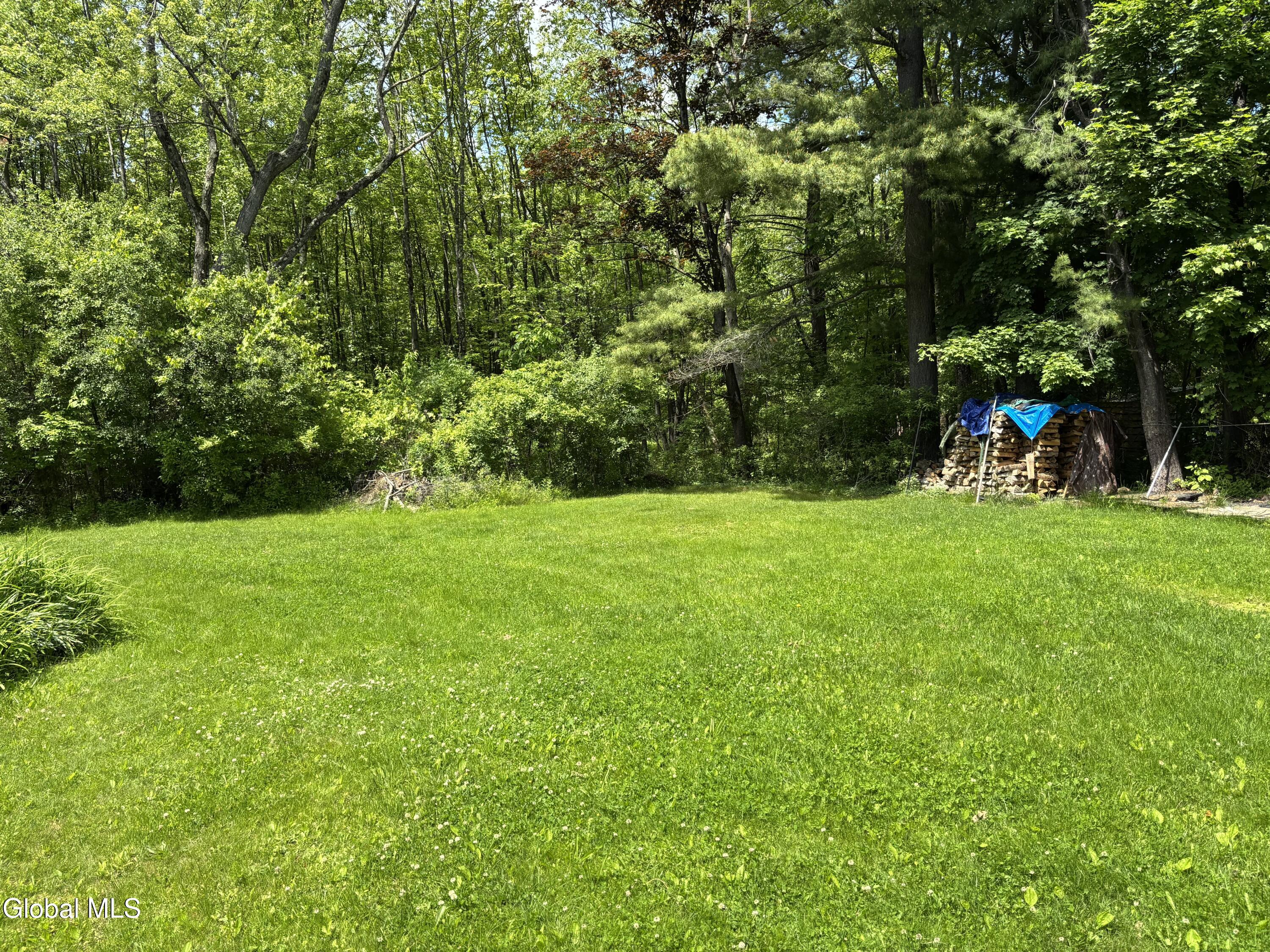 27 Rutherford Road West Sand Lake NY 12196