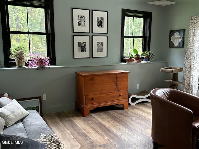50 Lincoln Mountain Road Greenfield Center NY 12833