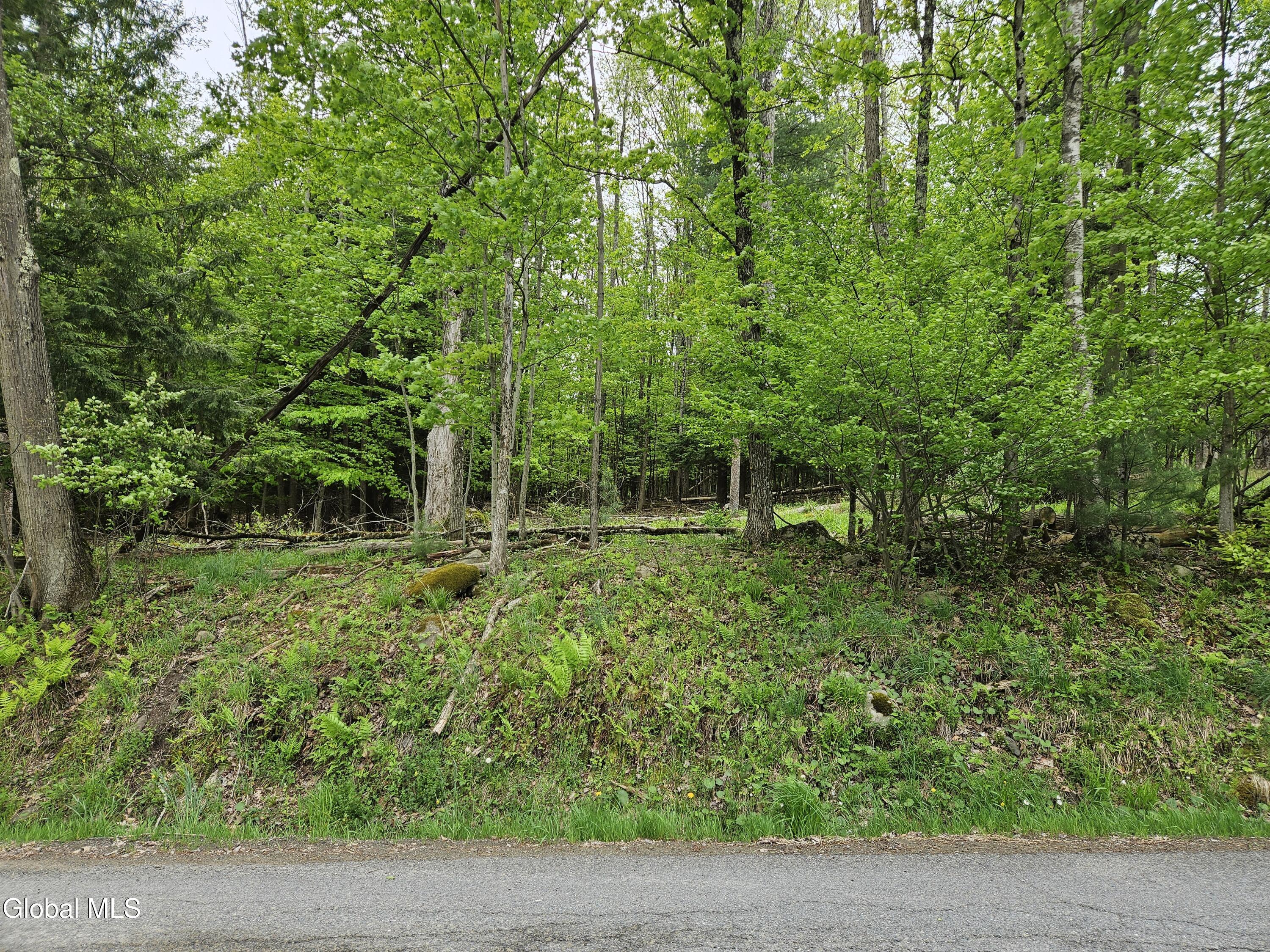 773 Plank Road Averill Park NY 12018