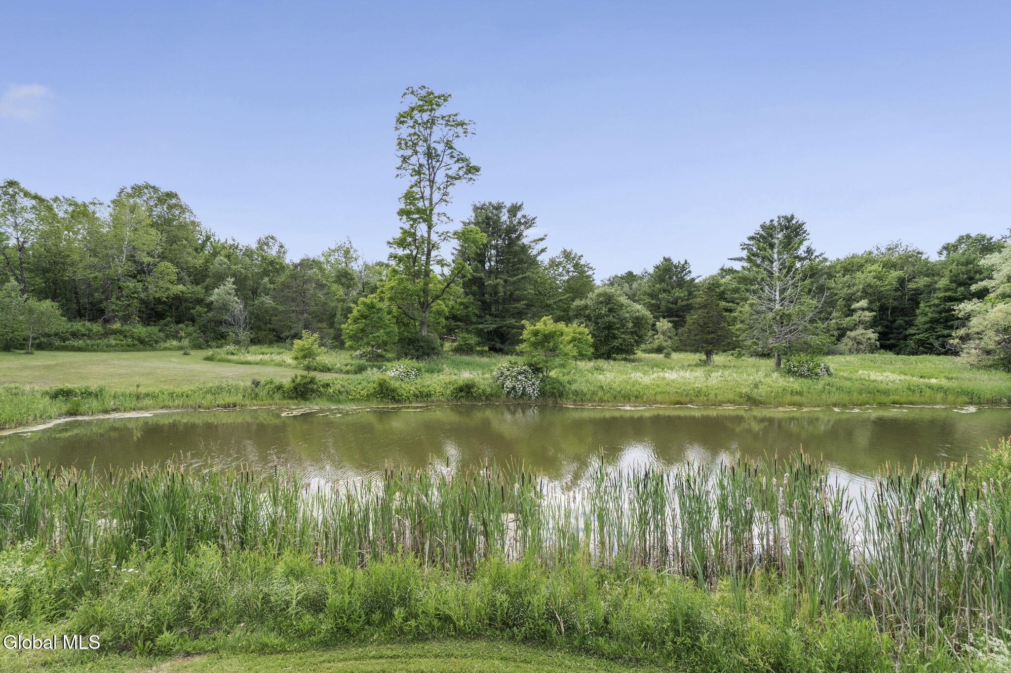 1161 County Route 408 Westerlo NY 12193
