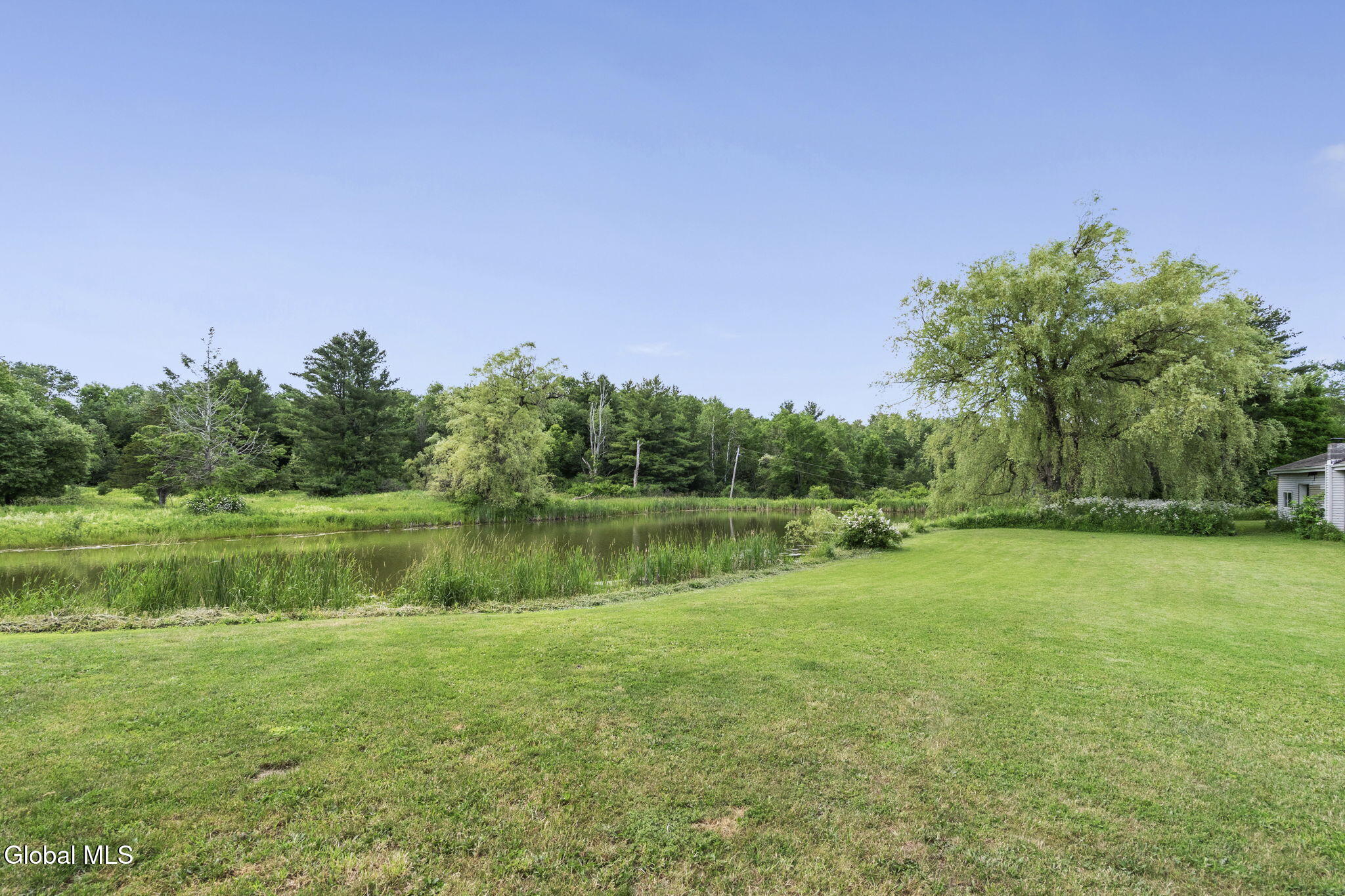 1161 County Route 408 Westerlo NY 12193