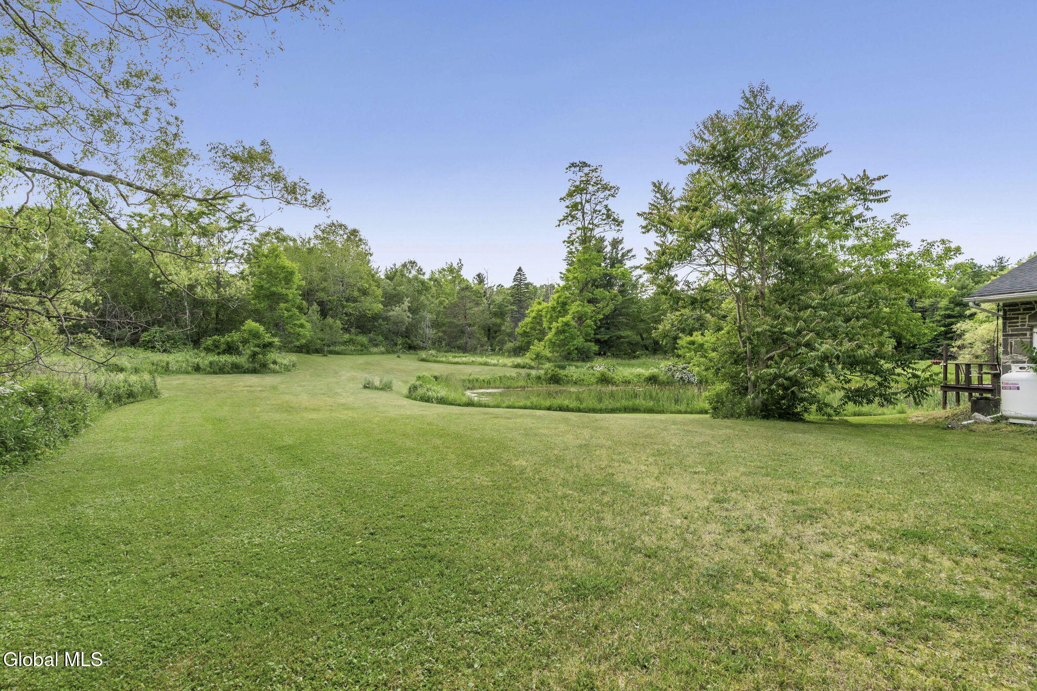 1161 County Route 408 Westerlo NY 12193
