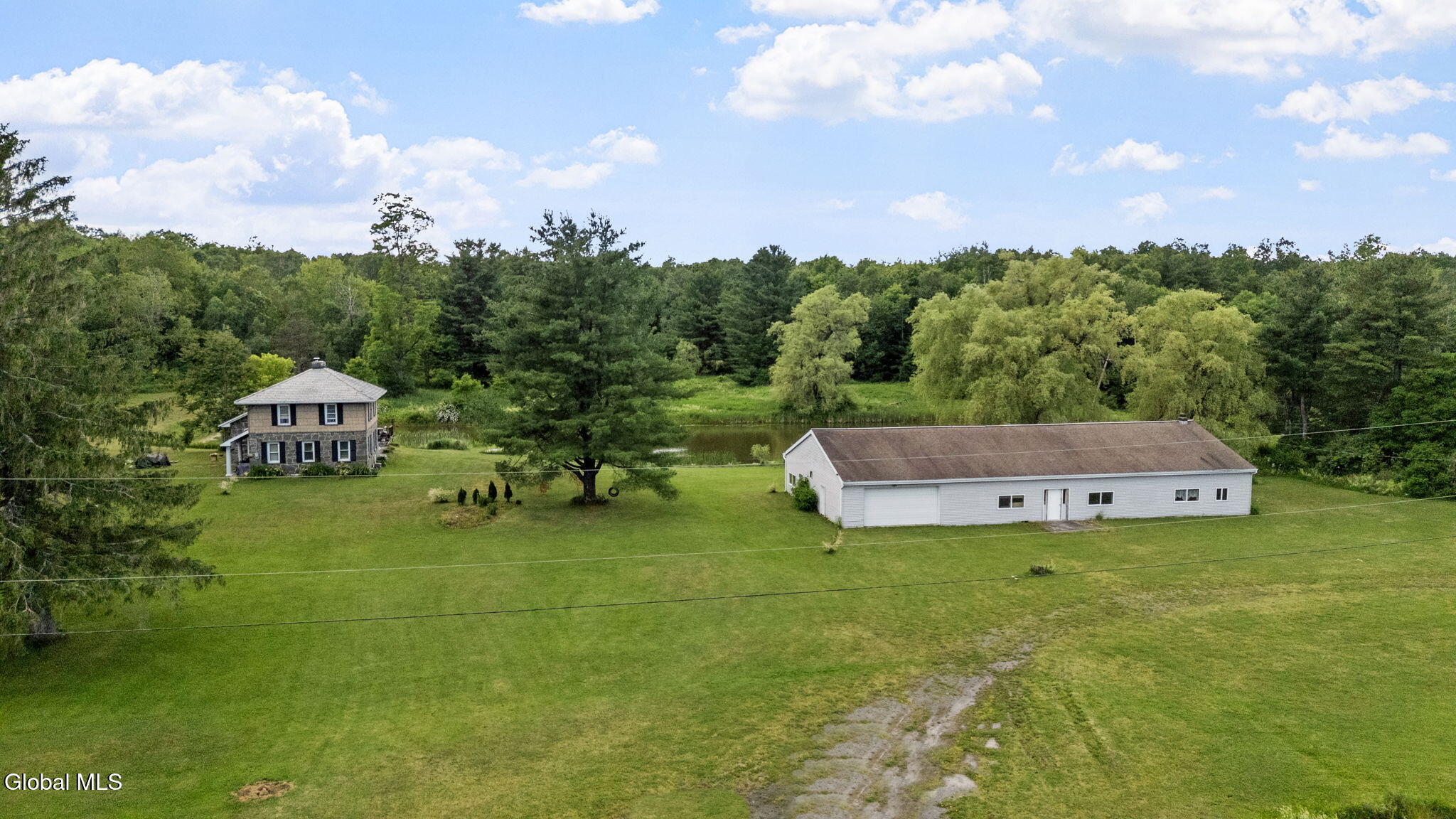 1161 County Route 408 Westerlo NY 12193