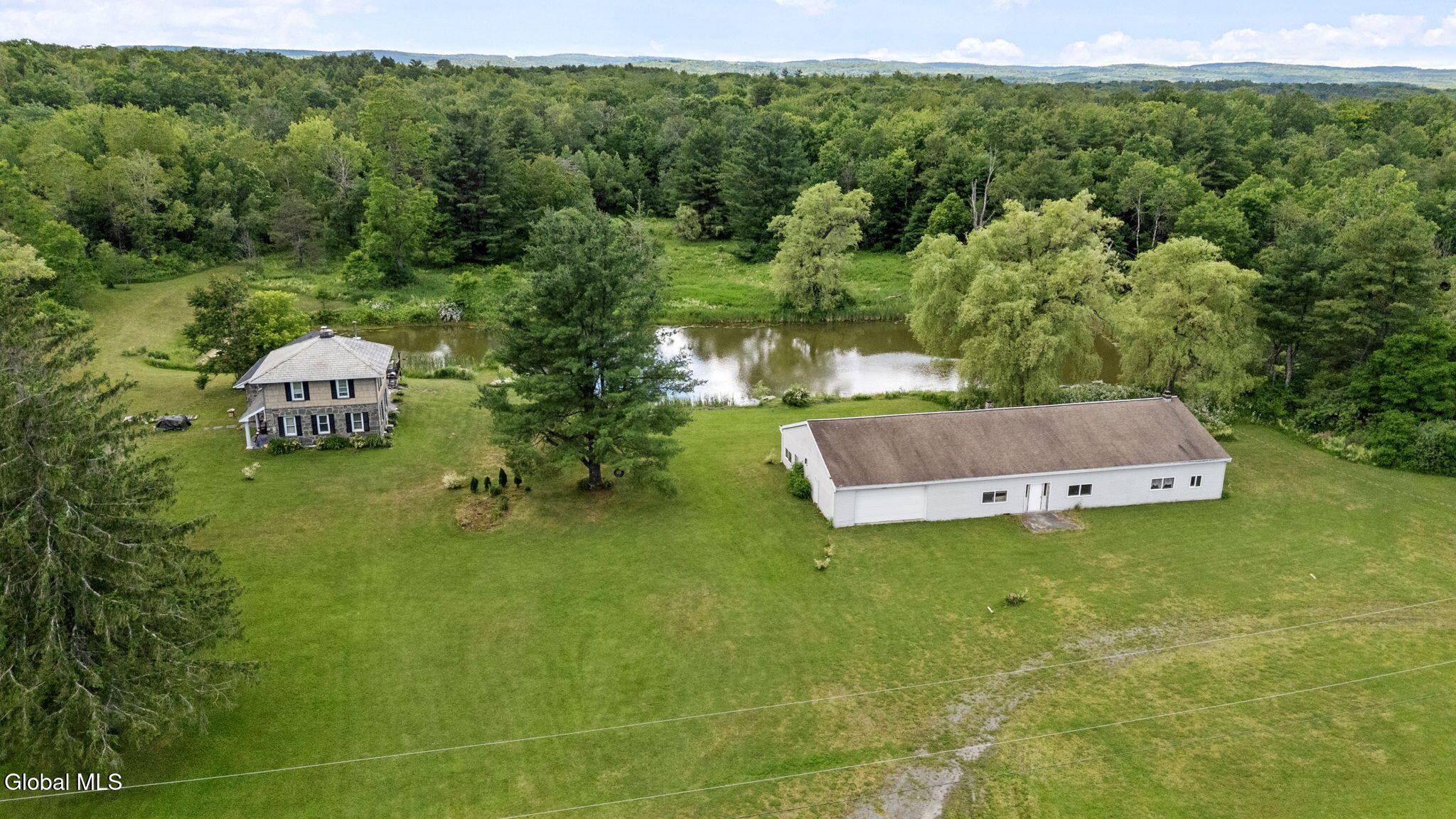 1161 County Route 408 Westerlo NY 12193