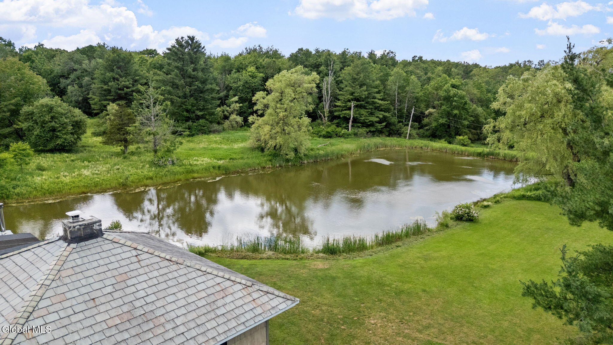 1161 County Route 408 Westerlo NY 12193