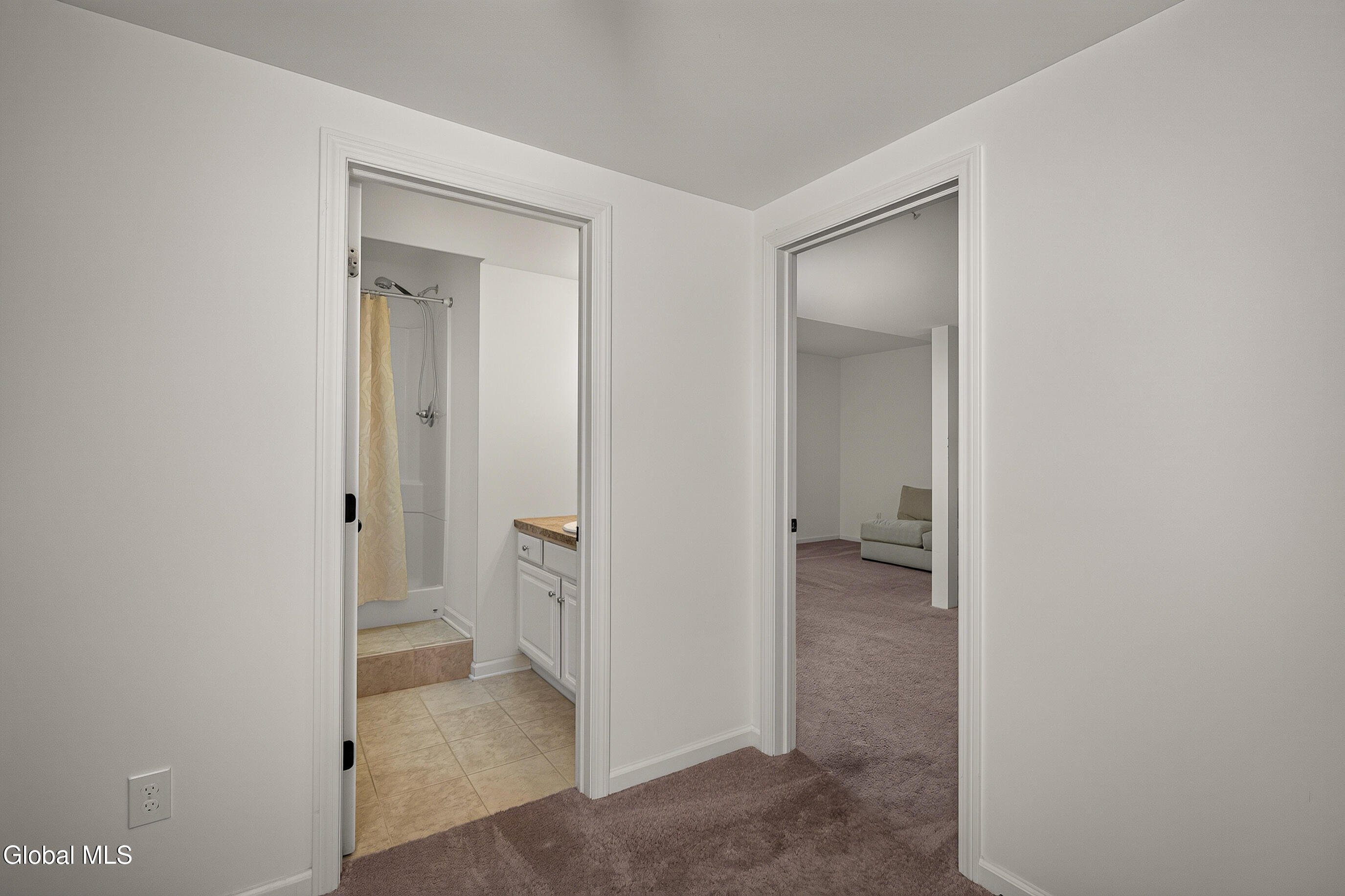 1027 Gideon Trace Scotia NY 12302