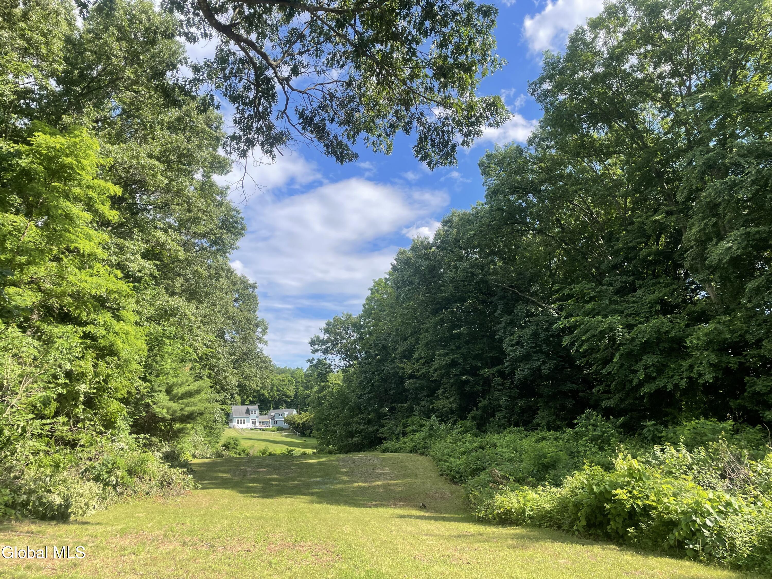 78 Condon Road Saratoga NY 12170